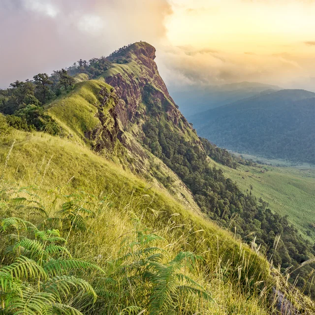 Switching Aroma Room Mist at The Top 100ml