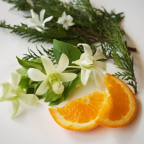 Aroma Wrapping Hand Cream Early Afternoon 30g Image 2