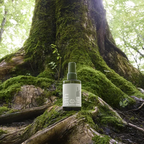 Switching Aroma Room Mist Sacred Tree 100ml Image 2