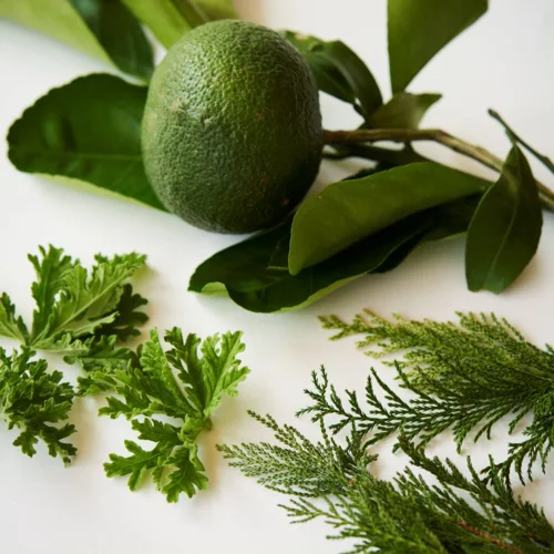 Smooth Body Milk Feel at Ease 150ml Image 3