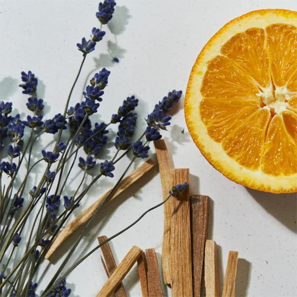 Lavender, orange, sandalwood, and cedarwood ingredients representing the soothing fragrance of Athletia Phyto Sleeping Cream, designed to relax the mind and enhance sleep quality.