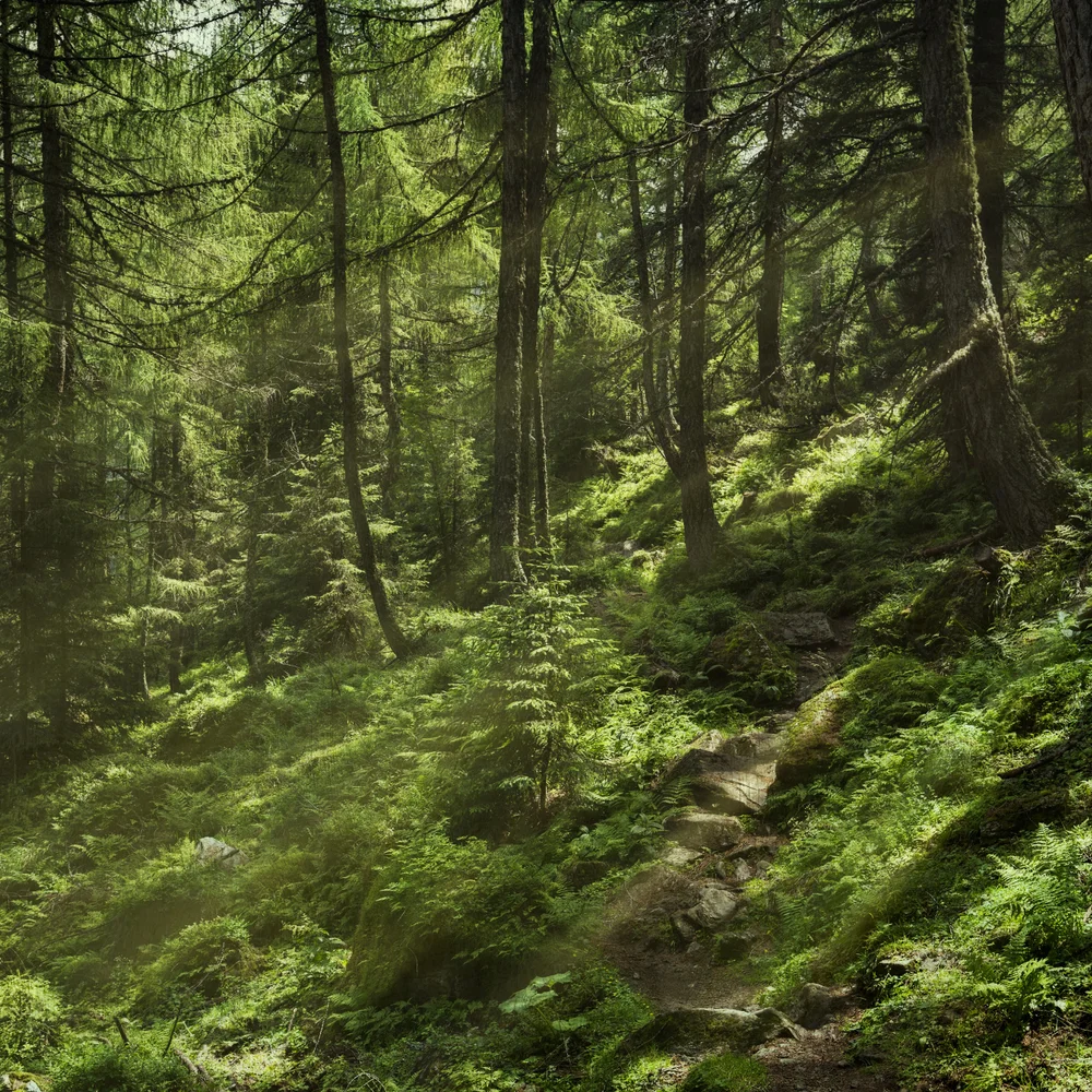 Switching Aroma Room Mist Green Ray 100ml