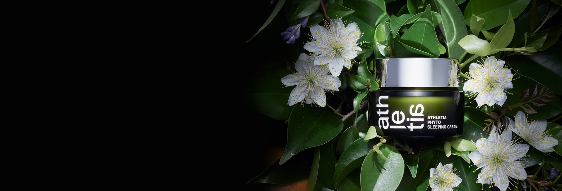 Phyto Sleeping Cream