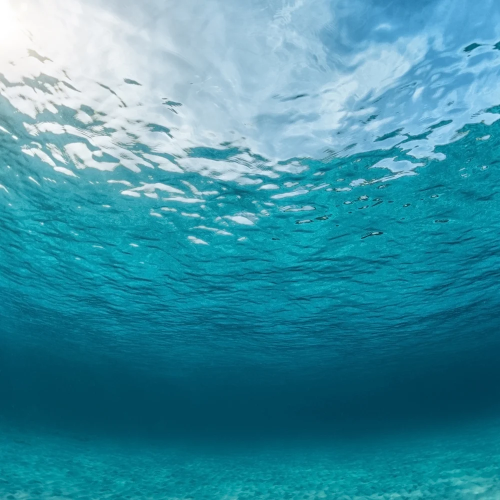 Switching Aroma Room Mist Feel The Wind 100ml