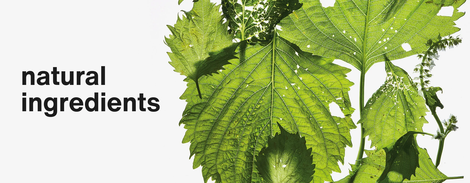 natural ingredients